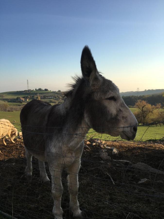 Ferme De Simondon Plats Buitenkant foto